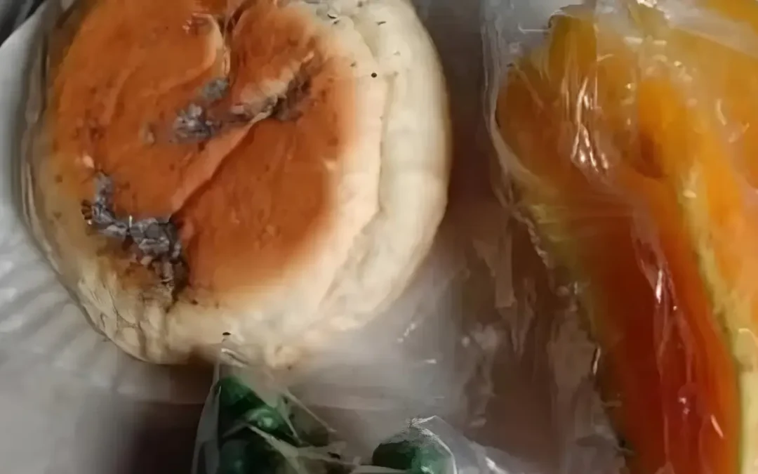 Roti Berjamur di Piring Siswa: BGN Segel 47 Dapur Makan Bergizi Gratis!