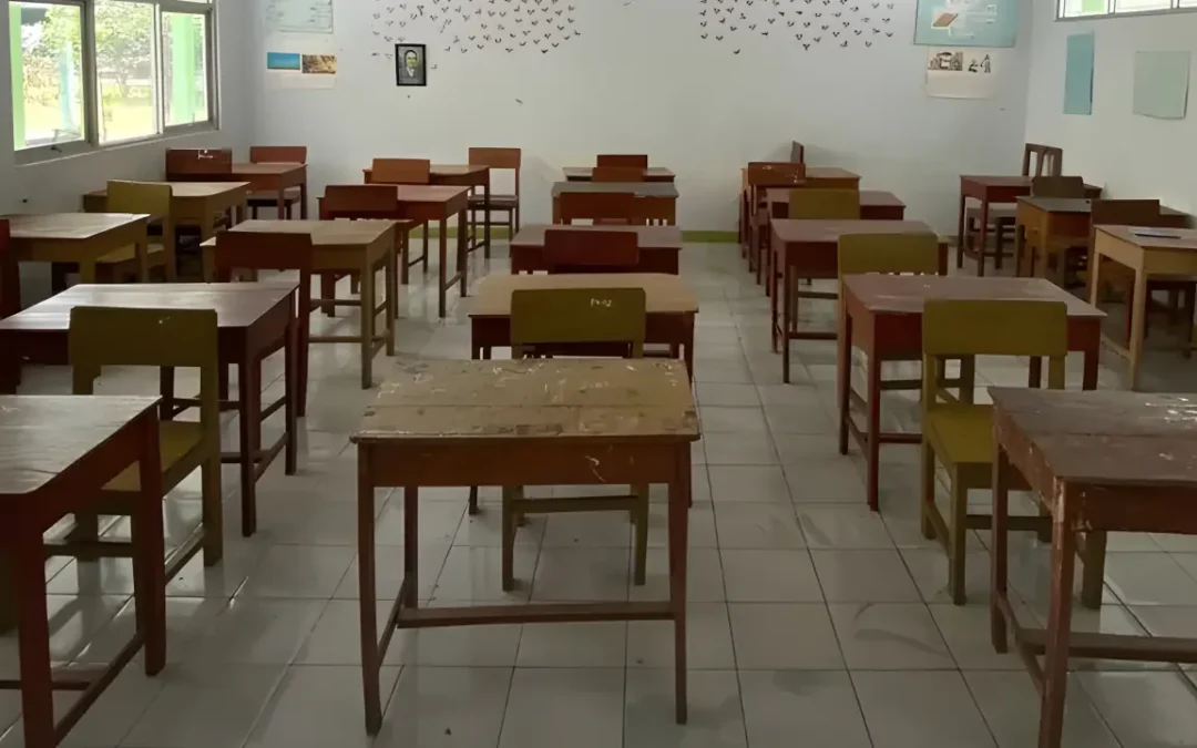 Krisis Siswa SDN: Mengapa Sekolah Dasar Negeri Sepi Peminat dan Banyak Bangku Kosong?